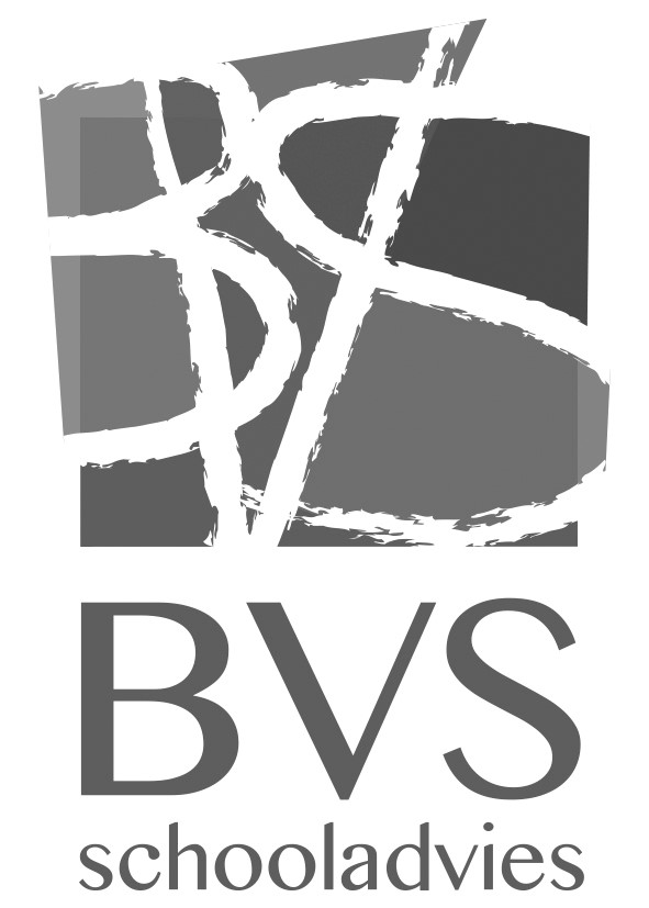 BVSlogo.jpg